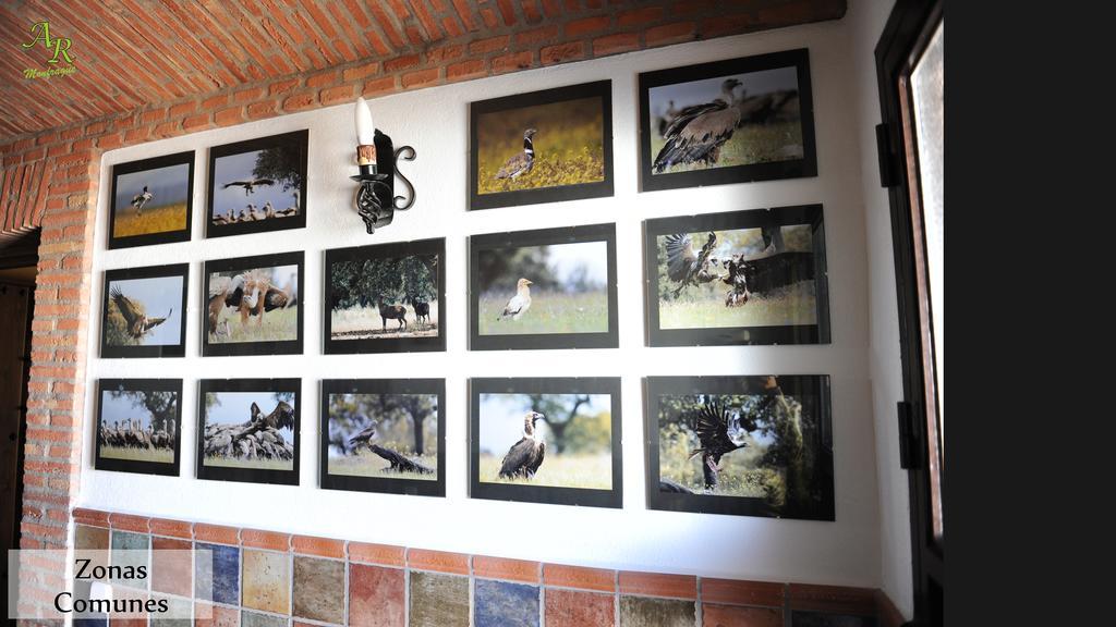 Apartamentos Rurales Monfraguee ตอร์เรฮอน เอล รูบิโอ ภายนอก รูปภาพ